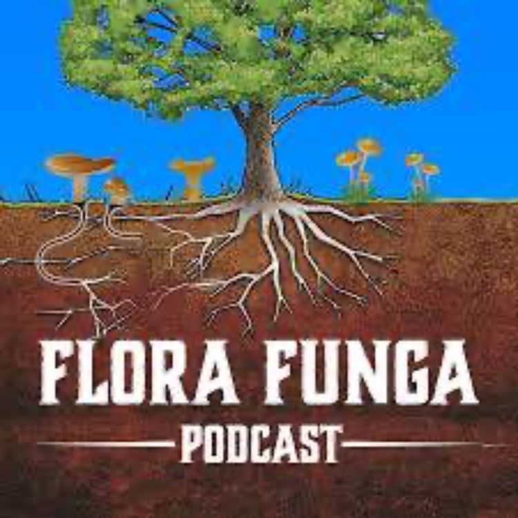 cover art for Magic Lichens & More with KK from Flora Funga