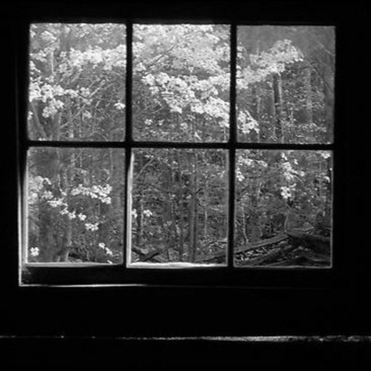 cover art for LaCabane