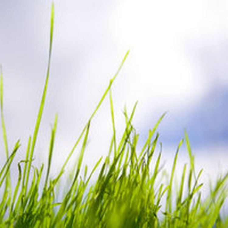 cover art for We March 2 (One Fm Radio Podcast)