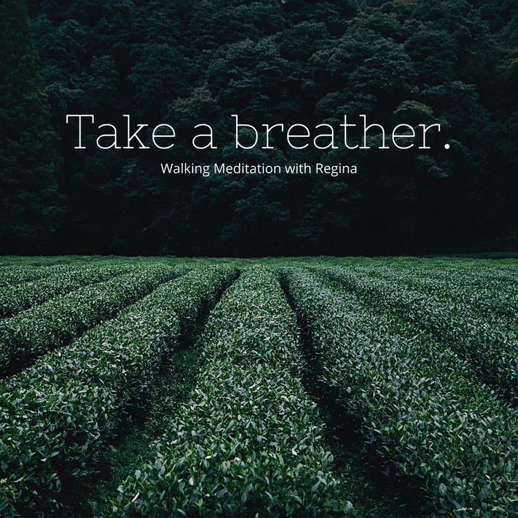 cover art for Walking Meditation - regina@pathwayz.ie