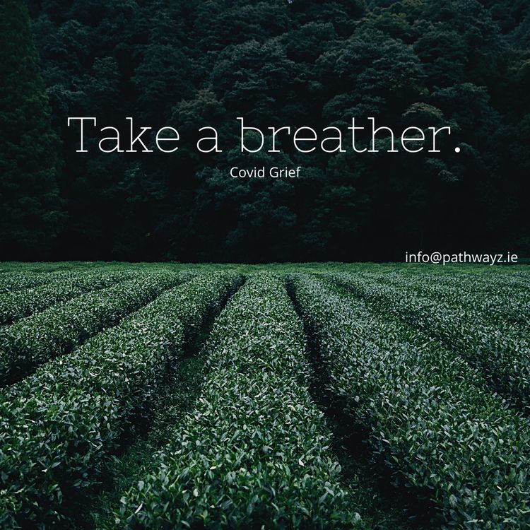 cover art for Covid Grief - sean@pathwayz.ie