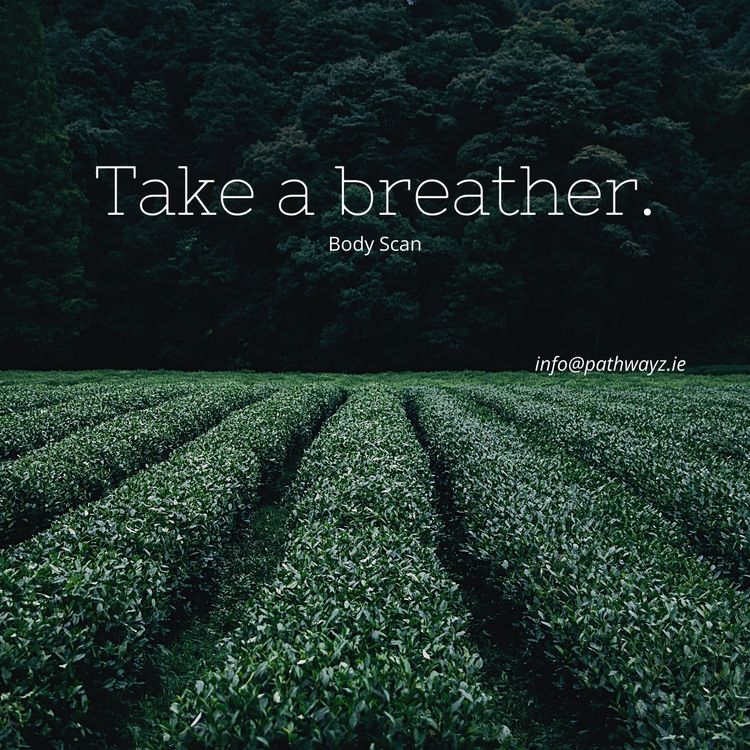 cover art for Body Scan - regina@pathwayz.ie