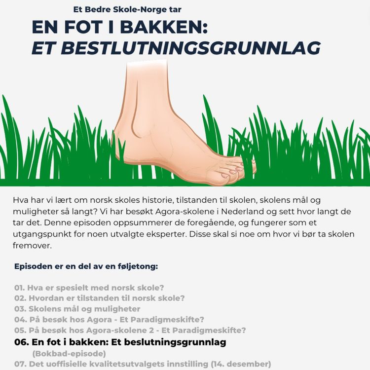 cover art for En fot i bakken: Et beslutningsgrunnlag