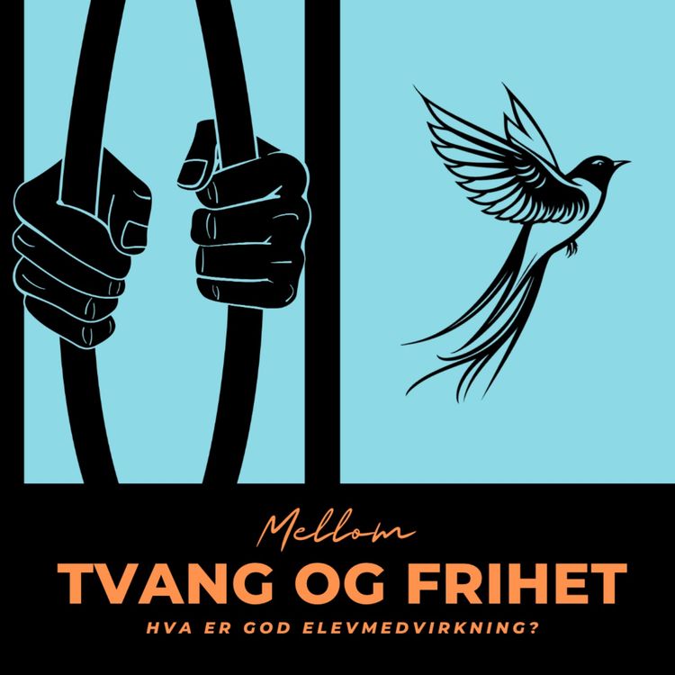 cover art for Hva er god elevmedvirkning 1, med Ungdomsrådet i Fredrikstad, ved Solveig (Frederik II), Hannah (Haugeåsen), Martin (fritidsklubbene) og Anna (Gudeberg)