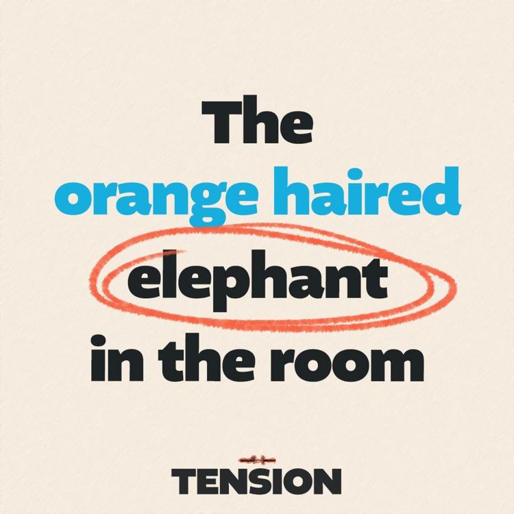 cover art for The orange haired elephant in the room