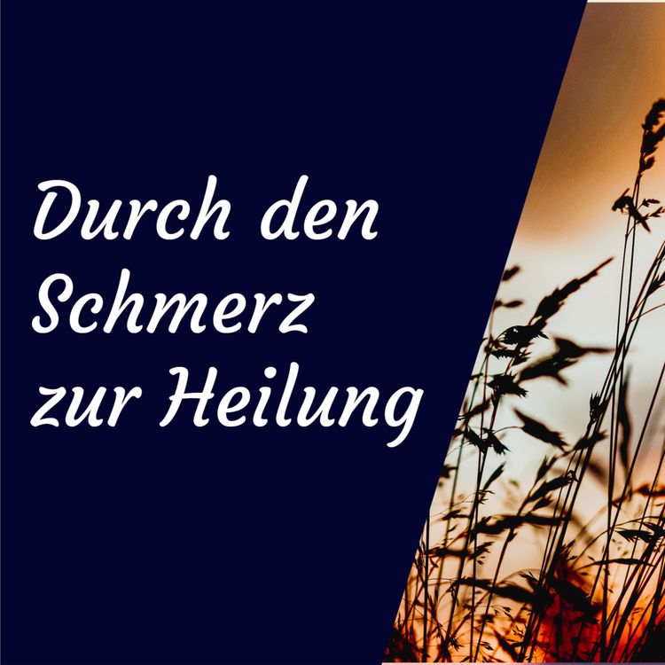 cover art for Durch den Schmerz zur Heilung