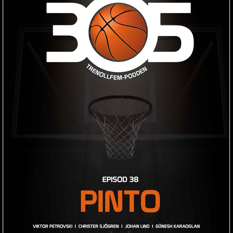 cover art for PINTO