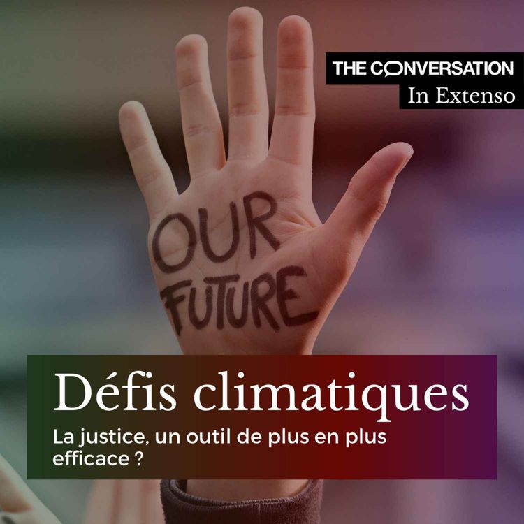 cover art for Défis climatiques : la justice, un outil de plus en plus efficace ? 