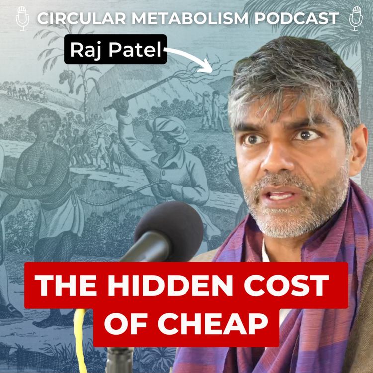 cover art for How Capitalism made Nature, Care and our Lives Cheap (Raj Patel)