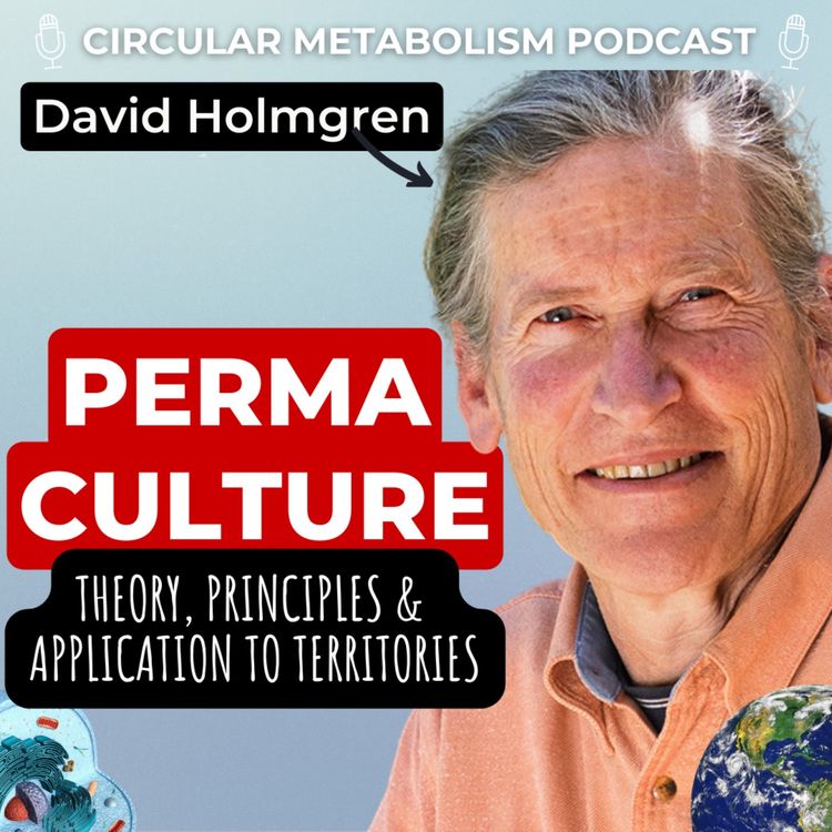 cover art for Permaculture: From theory to application in territories (David Holmgren)