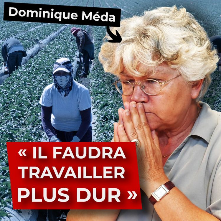 cover art for Le travail dans une société post-croissance (Dominique Méda)