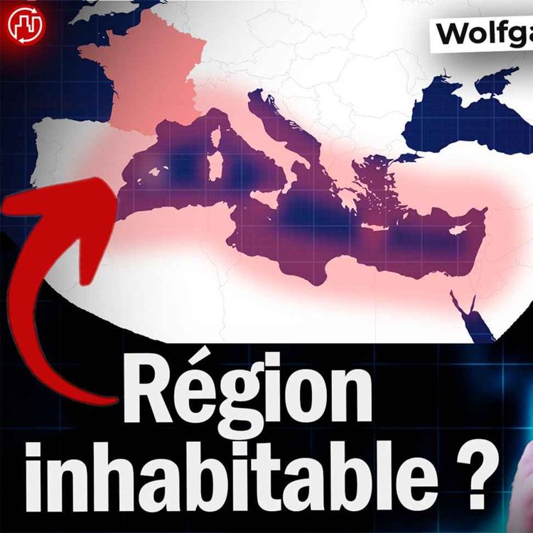 cover art for Comment Nos Sociétés Peuvent Soudainement Basculer - Wolfgang Cramer