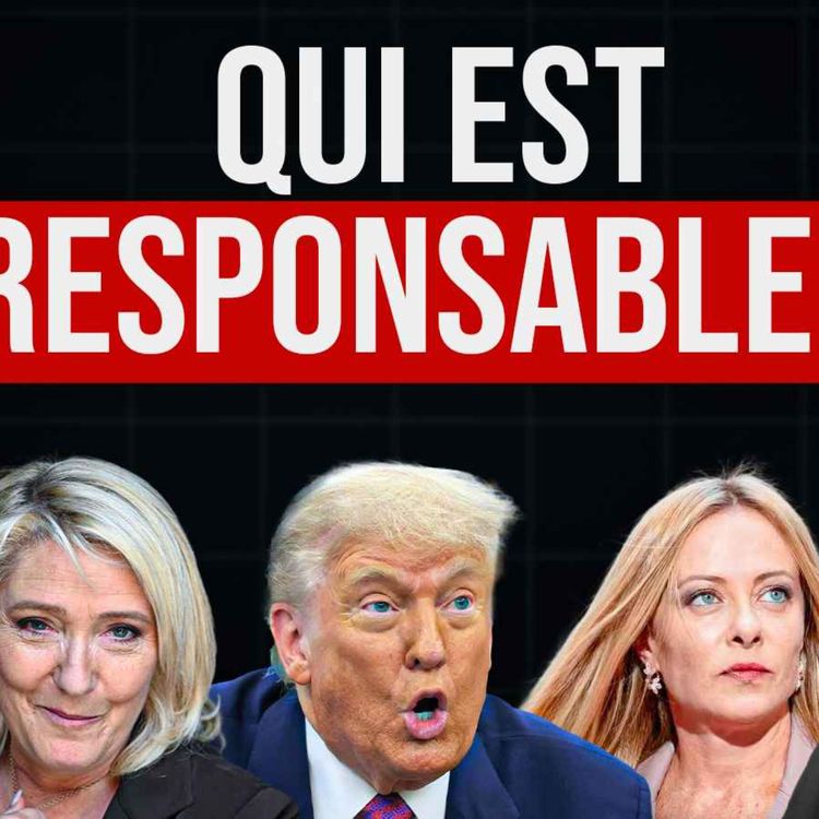 cover art for Est-ce que la montée du Fascisme est Inévitable ? Johann Chapoutot