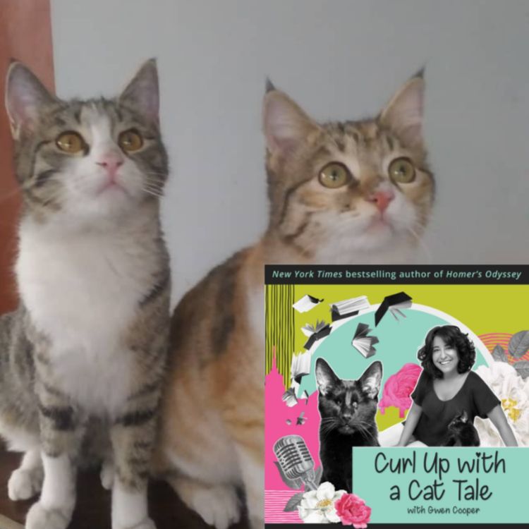 cover art for Charlotte Maxwell-Jones