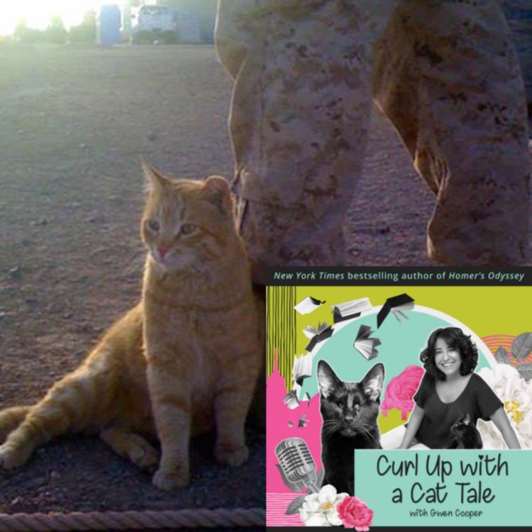 cover art for Sinners in the Hands of an Angry Gwen