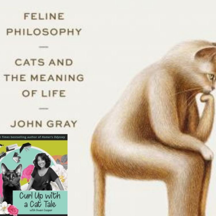 cover art for Feline Philosophy, Part 1