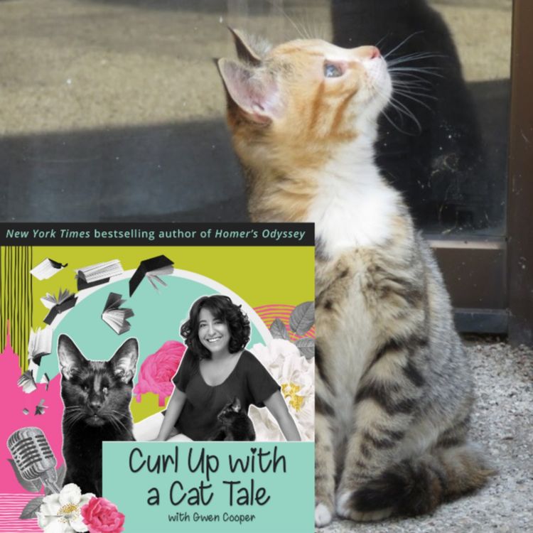 cover art for Feline Philosophy, Part 2
