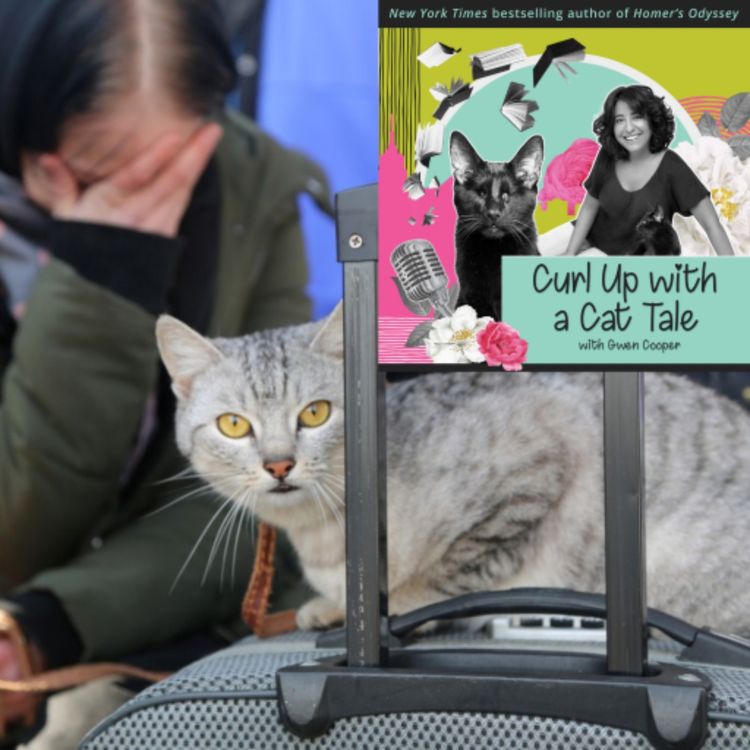 cover art for Putting the "You" in Ukraine