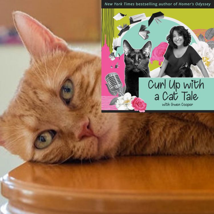 cover art for How to Be SMART