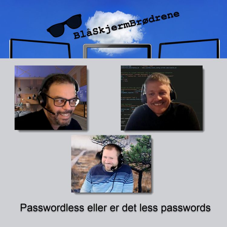 cover art for #22-13 Passwordless