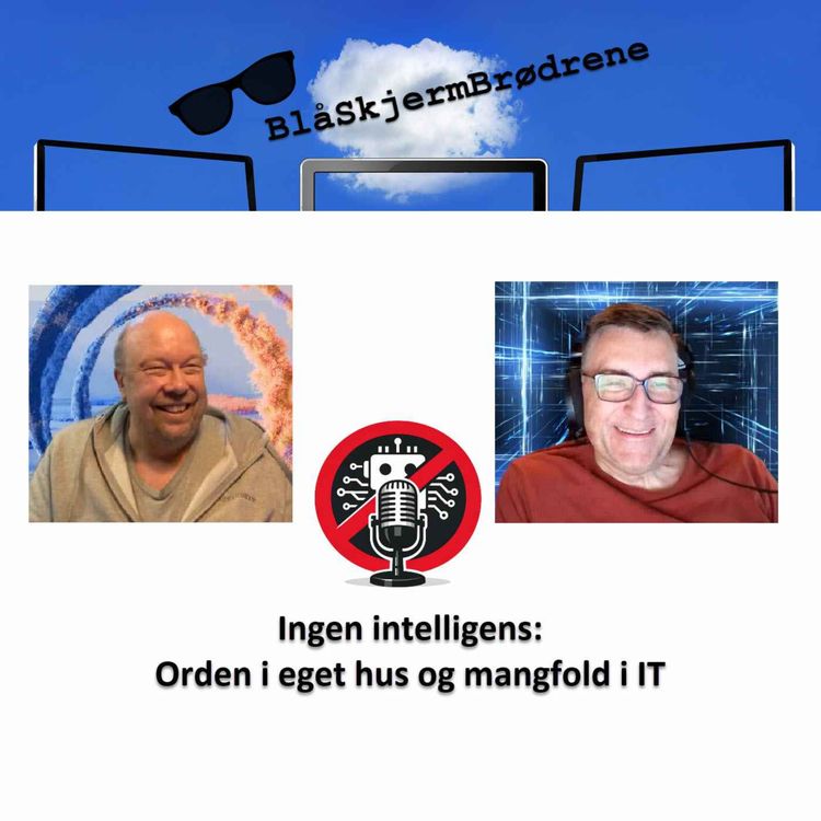 cover art for #26-01 Ingen intelligens: Orden i eget hus og mangfold i IT