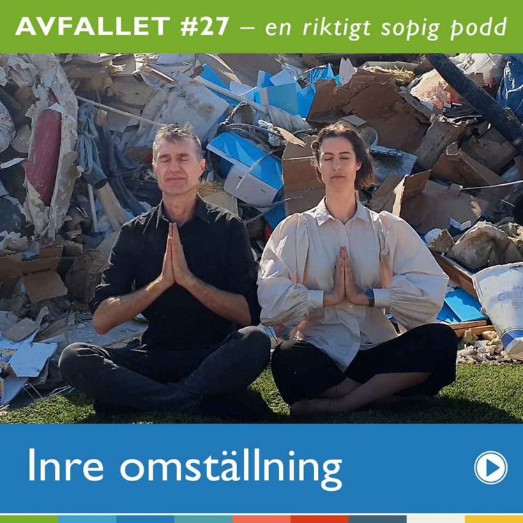 cover art for #27 Inre omställning