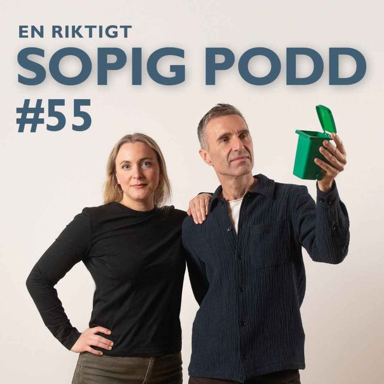 cover art for # 55 Det stora hålet