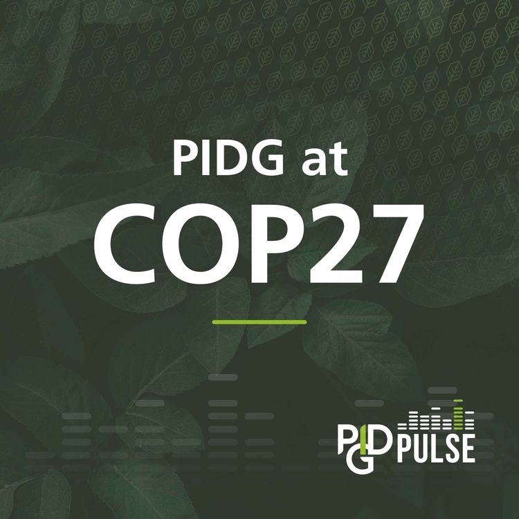 cover art for #10 PIDG at COP27