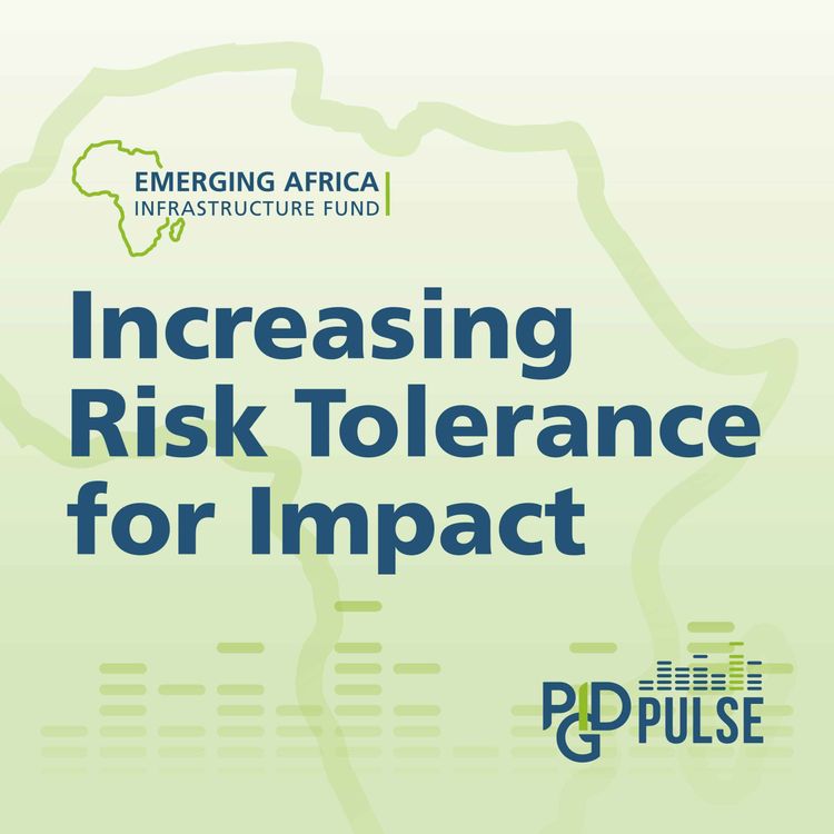 cover art for #3 Increasing Risk Tolerance to Drive Impact: Implementing PPPs in frontier economies