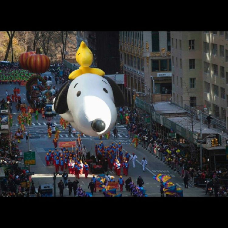 cover art for 'The Alex Morgan Show' Episode #80 "Mid-Terms"