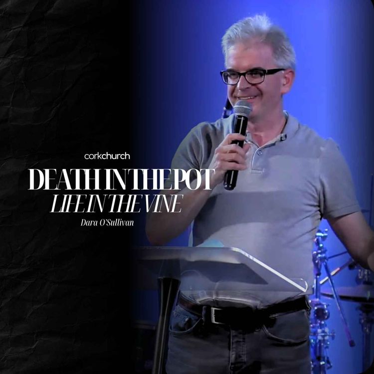 cover art for Death In The Pot, Life In The Vine | Dara O'Sullivan