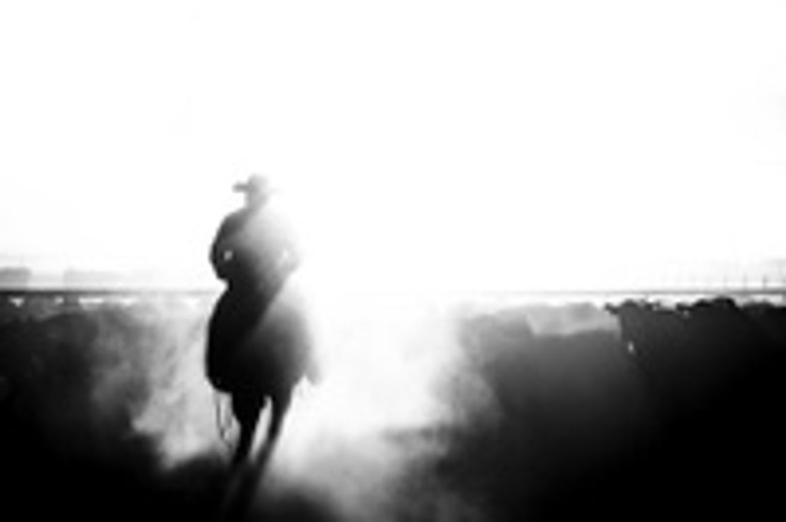 cover art for The Next American Revolution