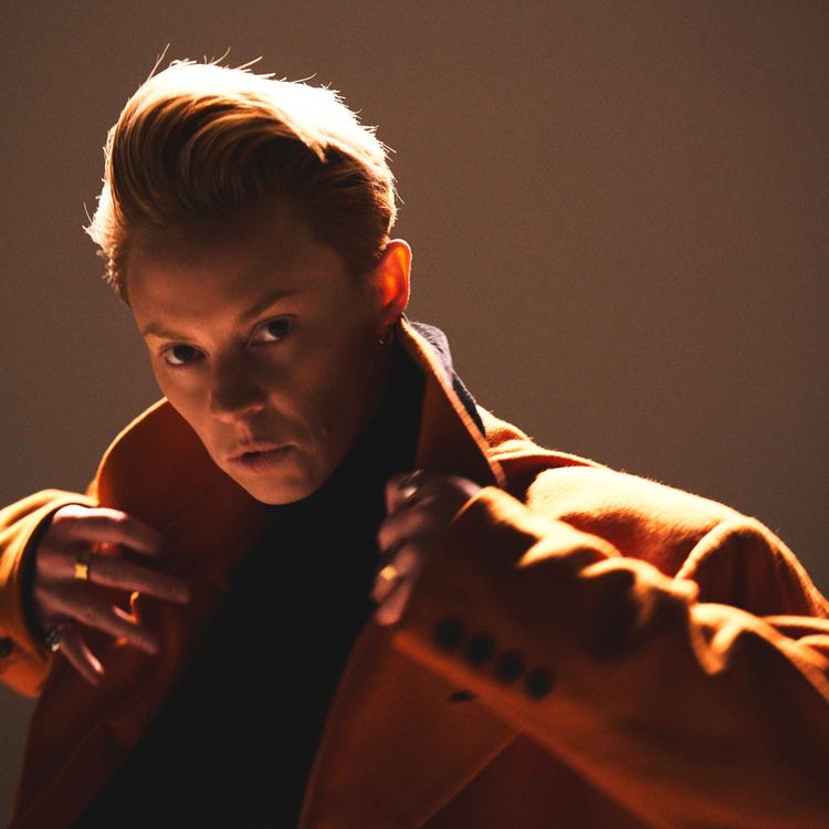 cover art for La Roux