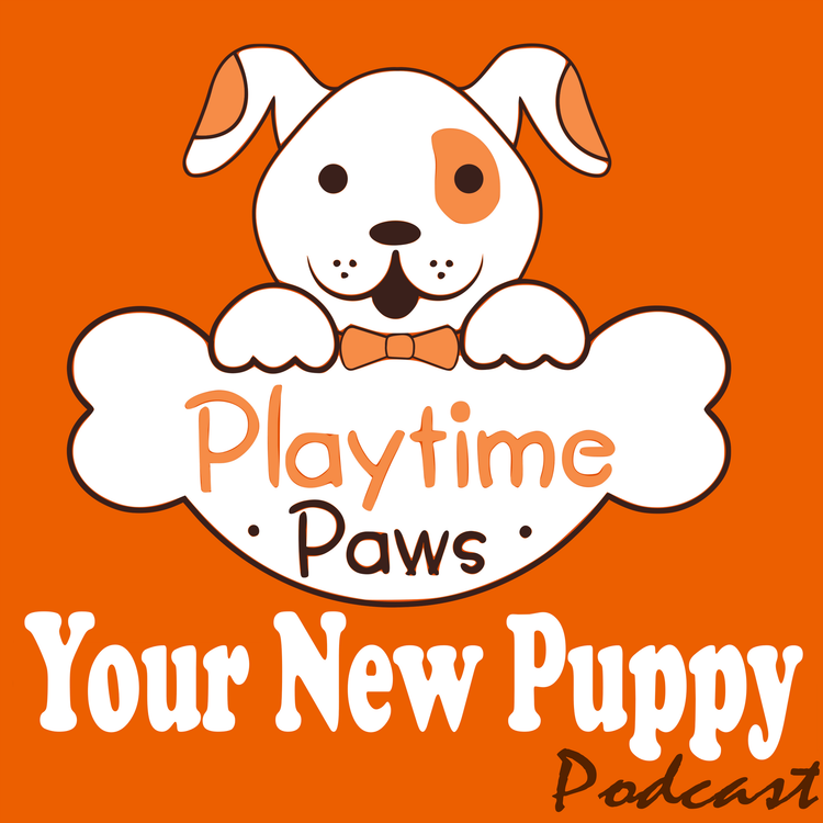 cover art for YNP #058: How to Recognize Appropriate Dog Play