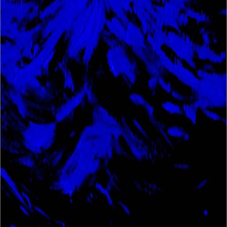 cover art for Jury final piece - Rocky Requiem/Postmortem to an Immortal Lifeform