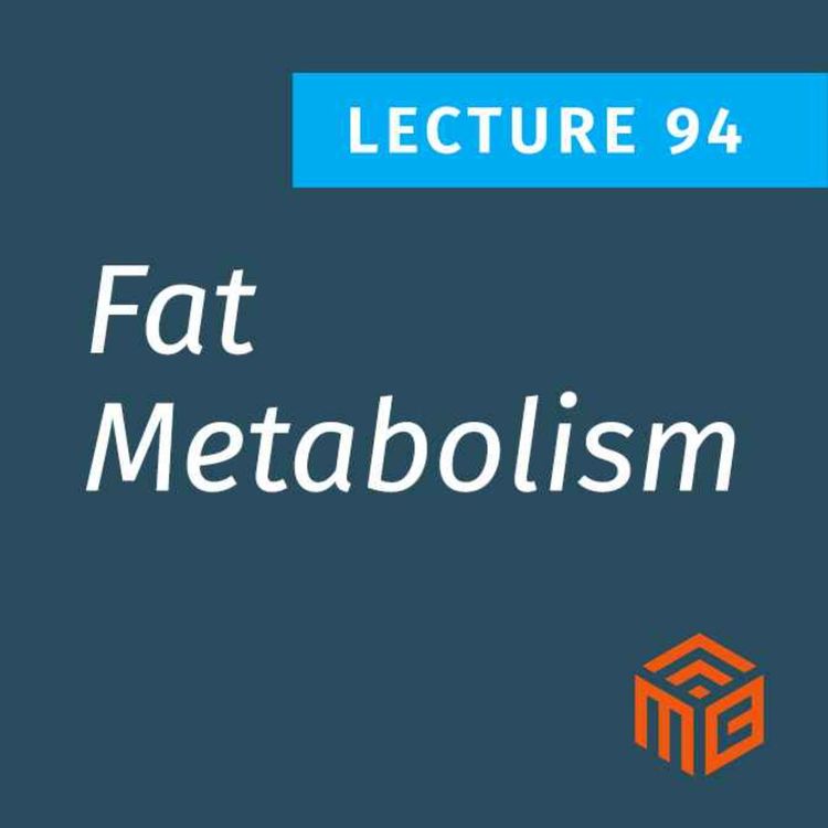 cover art for Fat Metabolism Deep Dive: Saturated, Mono, and Poly Fats Explained
