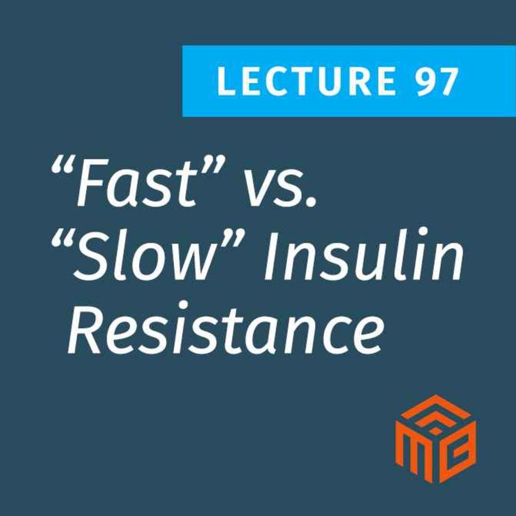 cover art for “Fast” vs. “Slow” Insulin Resistance: The Two Paths Explained