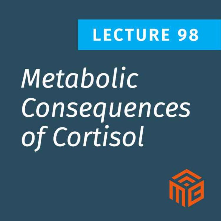 cover art for Cortisol & Insulin Resistance: How Cortisol Drives Fat Gain & Carb Cravings