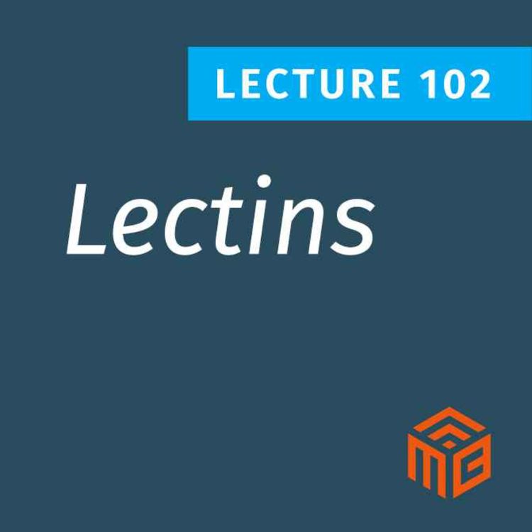 cover art for How Lectins Disrupt Insulin, Gut Health, and Immunity