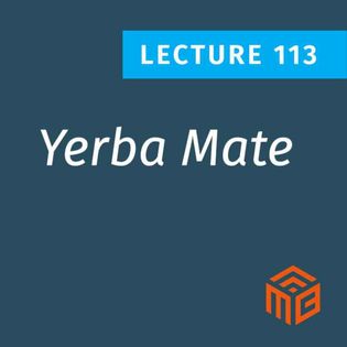 yerba mate glp 1 agonist Yerba Mate and Metabolism: What the Science Says - The Metabolic Classroom with Dr. Ben Bikman