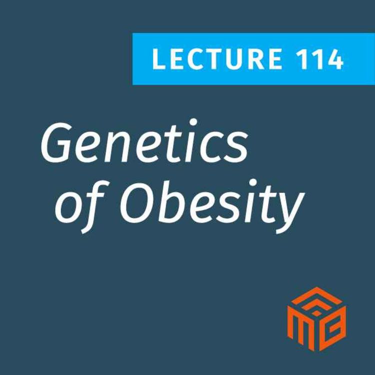 cover art for The Real Cause of Fat Gain: Genetics, Hormones, and Insulin