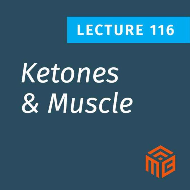 cover art for Can You Build Muscle on a Low-Carb Ketogenic Diet? What the Science Says