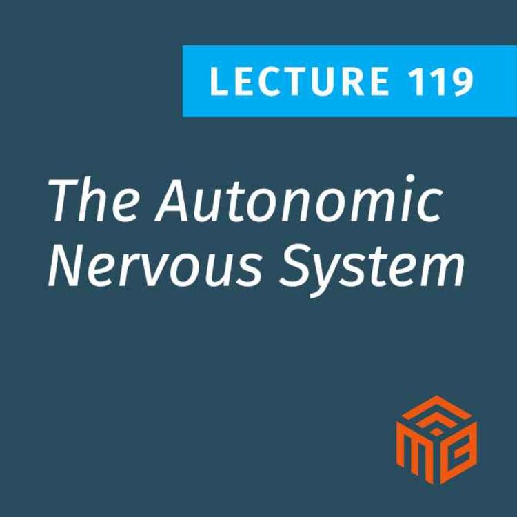 cover art for How Your Nervous System Controls Metabolism: Fight or Flight vs Rest & Digest