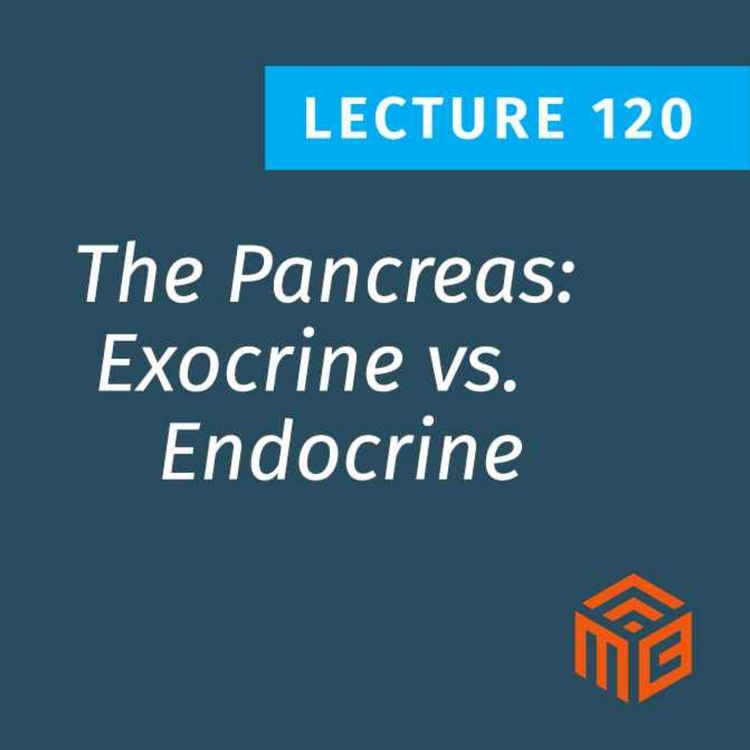 cover art for The Pancreas: Our Most Underrated Metabolic Organ & Why Its Health is Vital