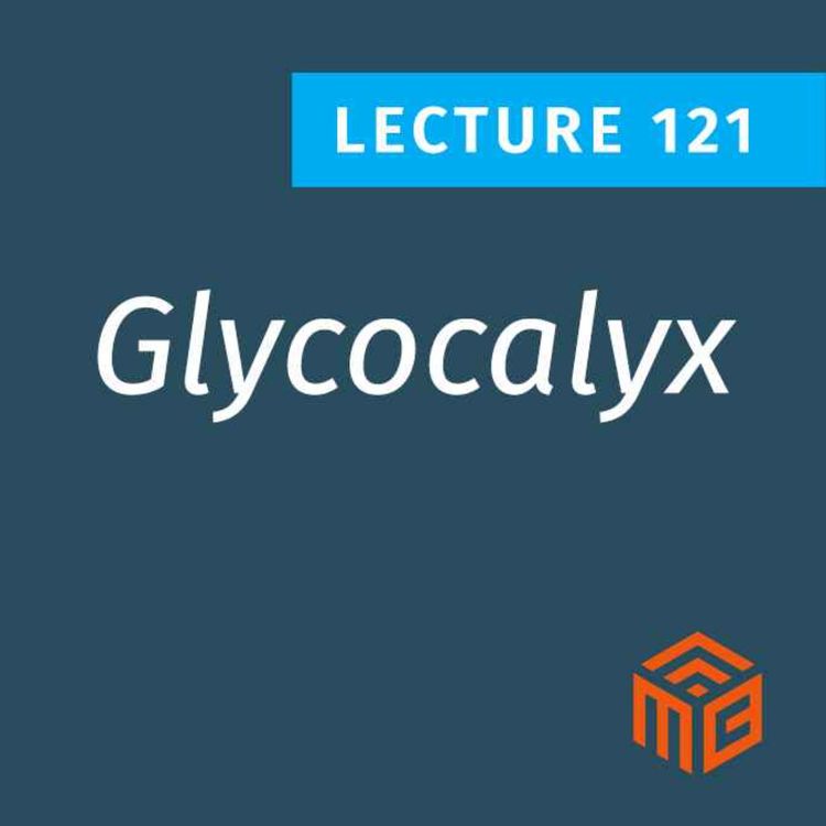 cover art for Why the Glycocalyx is a Hidden Key to Metabolic Health & How to Protect It