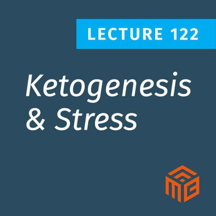 cover art for Ketogenesis & Stress: Can Stress Hormones Actually Be Good For You?