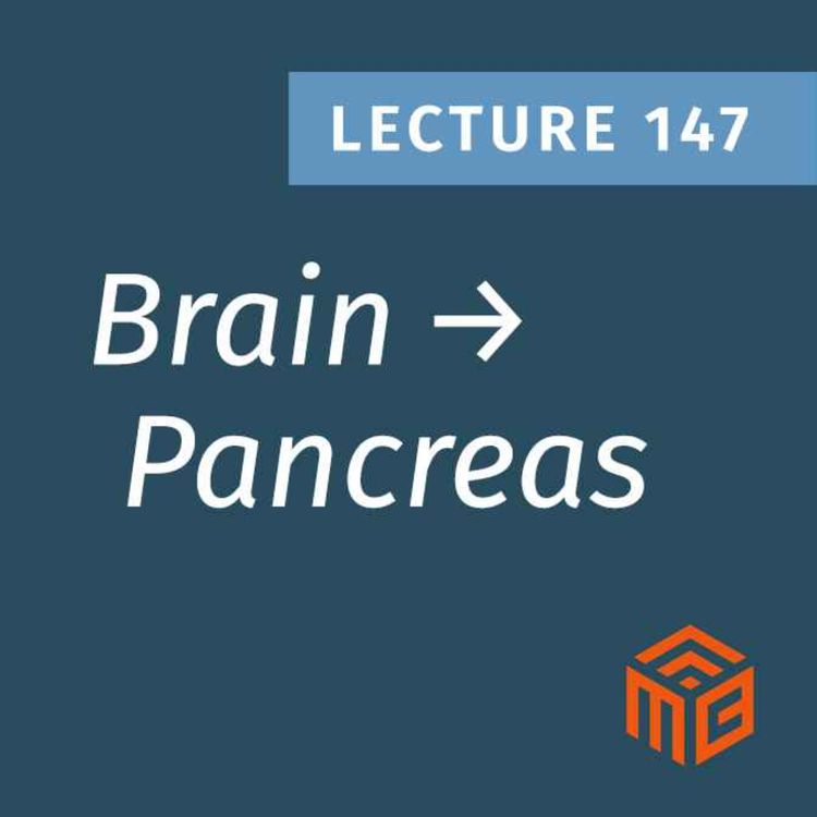 cover art for How Your Brain Talks to Your Pancreas (The Vagus Nerve Explained)