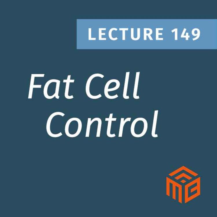 cover art for The Hidden Signals That Make Fat Cells Grow