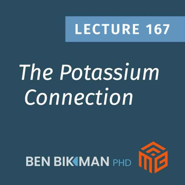 cover art for Could Low Potassium Be Raising Your Blood Sugar?