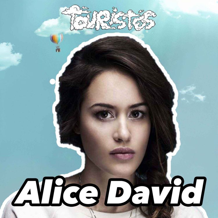 cover art for Alice David et la panique dans l'avion